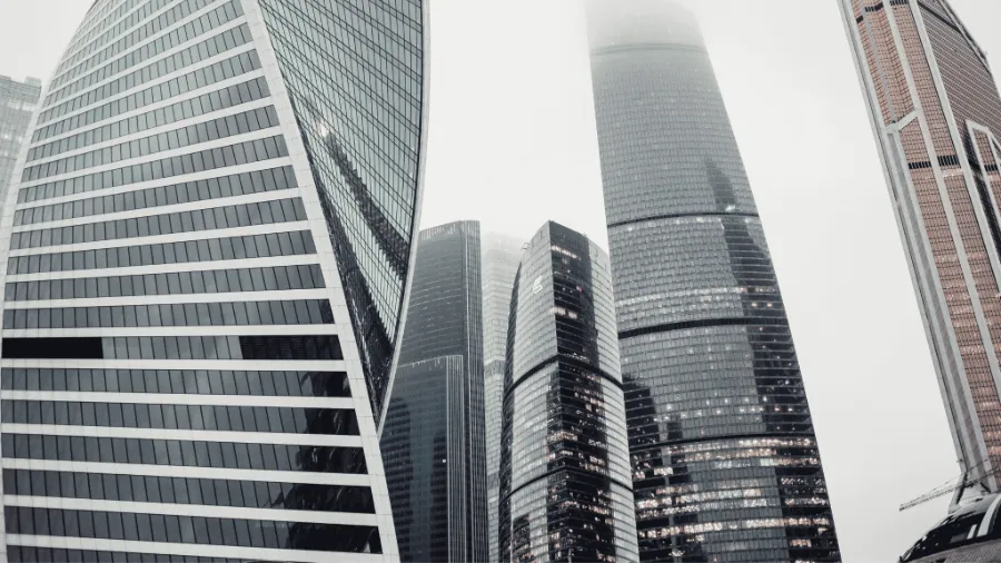 تأسيس الشركات متعددة الدول
